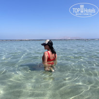 фото из отзыва ID 2305605