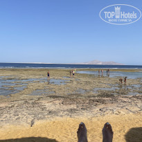 фото из отзыва ID 2305605