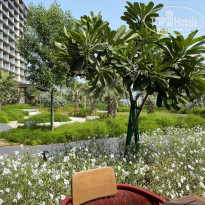 фото из отзыва ID 2305614