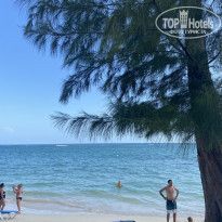 фото из отзыва ID 2305674