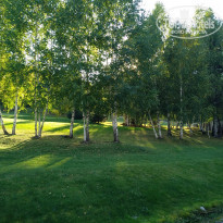 фото из отзыва ID 2305778