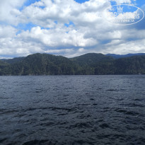 фото из отзыва ID 2305778