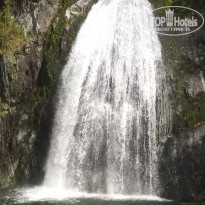 фото из отзыва ID 2305778