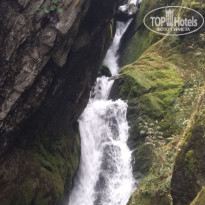 фото из отзыва ID 2305778