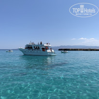 фото из отзыва ID 2305794