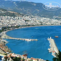 фото из отзыва ID 2305821