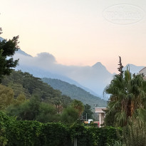 фото из отзыва ID 2305948