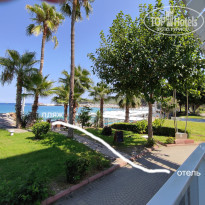 фото из отзыва ID 2306029