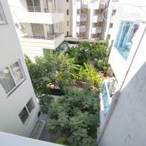 фото из отзыва ID 2306029