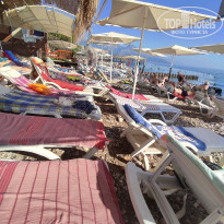 фото из отзыва ID 2306029