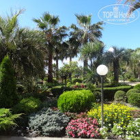 фото из отзыва ID 2306110