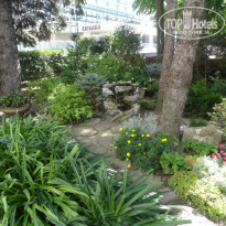 фото из отзыва ID 2306110