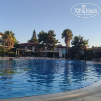 фото из отзыва ID 2306216