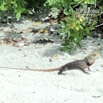 фото из отзыва ID 2306244