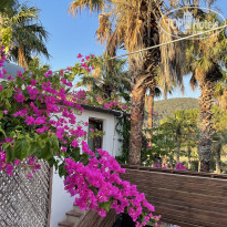 фото из отзыва ID 2306379