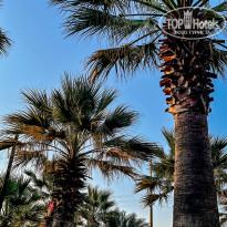 фото из отзыва ID 2306379