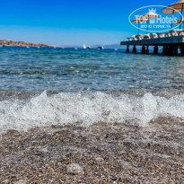 фото из отзыва ID 2306379