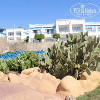 фото из отзыва ID 2306396