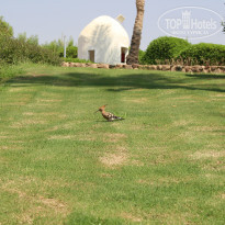 фото из отзыва ID 2306396