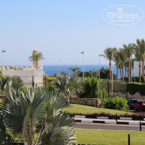 фото из отзыва ID 2306396