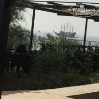 фото из отзыва ID 2306421