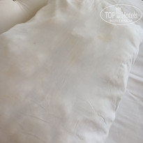 фото из отзыва ID 2306596