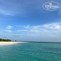 фото из отзыва ID 2306579