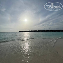 фото из отзыва ID 2306579