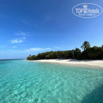 фото из отзыва ID 2306579