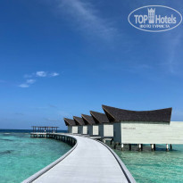 фото из отзыва ID 2306579