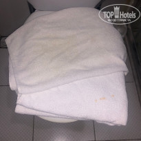 фото из отзыва ID 2306622