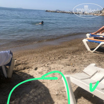 фото из отзыва ID 2306622