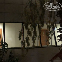 фото из отзыва ID 2306622