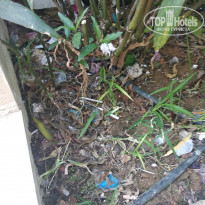 фото из отзыва ID 2306734