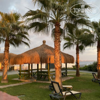 фото из отзыва ID 2306757