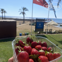 фото из отзыва ID 2306757