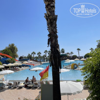 фото из отзыва ID 2306757