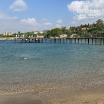 фото из отзыва ID 2306757