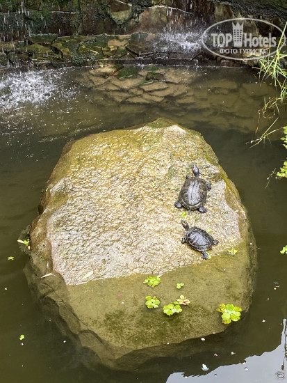 New photos from tourists Deesa