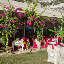 фото из отзыва ID 2306858