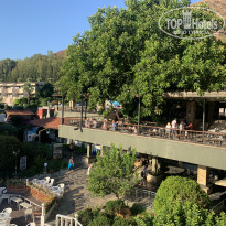 фото из отзыва ID 2307063