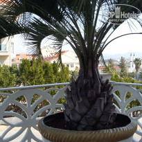 фото из отзыва ID 2307090