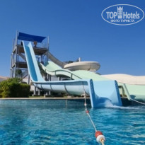 фото из отзыва ID 2307161