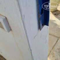 фото из отзыва ID 2307187