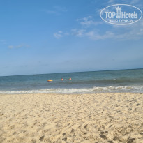 фото из отзыва ID 2307187