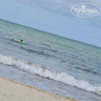 фото из отзыва ID 2307187