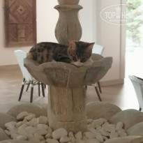 фото из отзыва ID 2307245