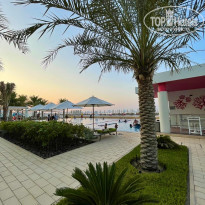 фото из отзыва ID 2307293