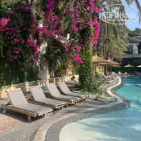 фото из отзыва ID 2307317