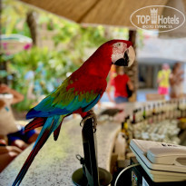 фото из отзыва ID 2307317